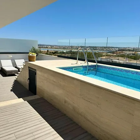 Luxurious Penthouse With Pool Close To The